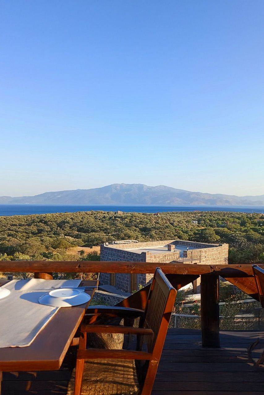 Seafood in Assos: The Best Restaurants for Fresh Fish & Delicacies